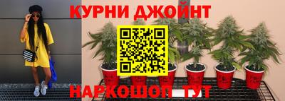 PSILOCYBIN Кингисепп