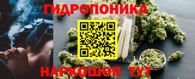 PSILOCYBIN Кингисепп
