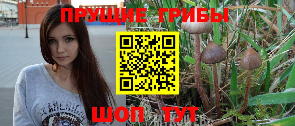 Псилоцибиновые грибы Cubensis Алапаевск
