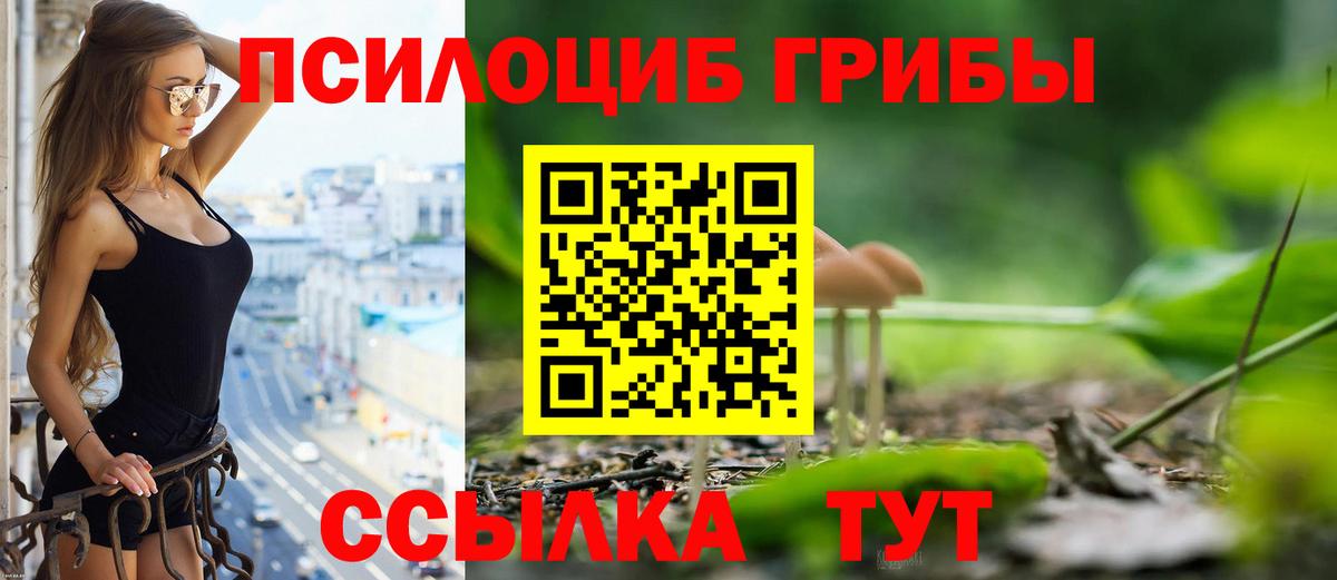 сколько стоит  Галлюциногенные грибы GOLDEN TEACHER  Вход с VPN  Псилоцибиновые грибы ЛСД  Алапаевск 